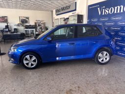 Skoda Fabia 1.0 Gasolina 75cv lleno