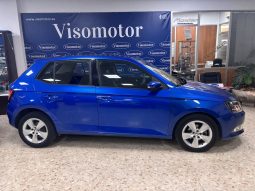 Skoda Fabia 1.0 Gasolina 70cv lleno